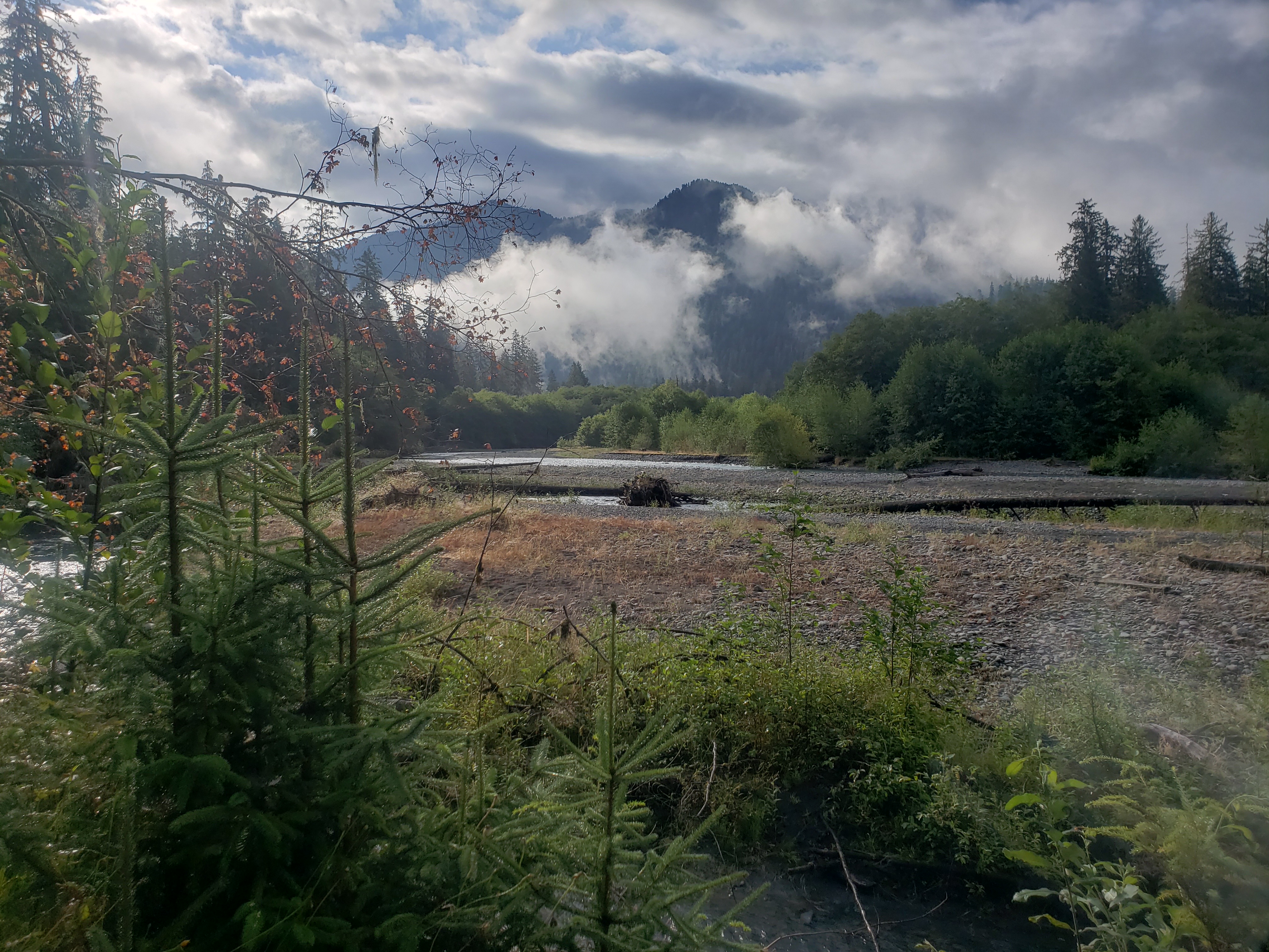 Olympic National Park